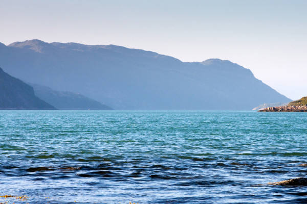 Ара-Губа, июль 2015 года, фотограф Вениамин Чукалов Ара-Губа, июль 2015 года, фотограф Вениамин Чукалов