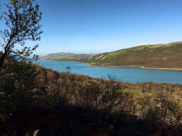 Ара-Губа, 26 июля 2015 года, вид на залив (фотограф Вениамин Чукалов)