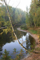 Осеннее утро