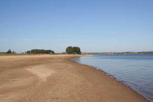 Сосенки вдали