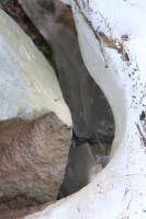 Последний снег в лесу Последний снег в лесу