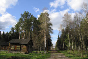 Подмосковсная природа в окрестностях Сергиева Посада