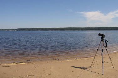 Готов к труду и обороне