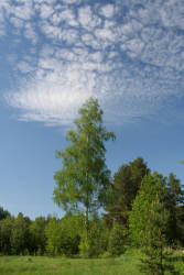 Касаясь неба