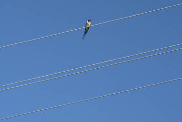 Кажется, дождик собирается...