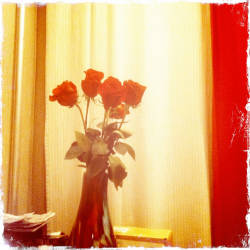 Фотограф Вениамин Чукалов