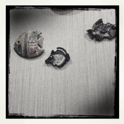 Фотограф Вениамин Чукалов