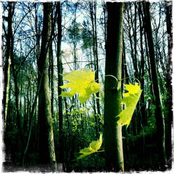 Фотограф Вениамин Чукалов