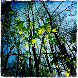 Фотограф Вениамин Чукалов