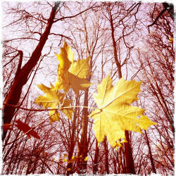 Фотограф Вениамин Чукалов