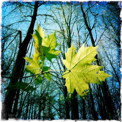 Фотограф Вениамин Чукалов