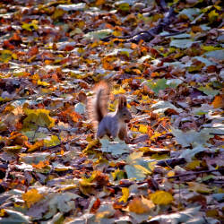 Фотограф Вениамин Чукалов (октябрь 2010)