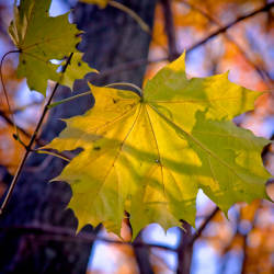Фотограф Вениамин Чукалов (октябрь 2010)