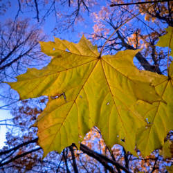 Фотограф Вениамин Чукалов (октябрь 2010)
