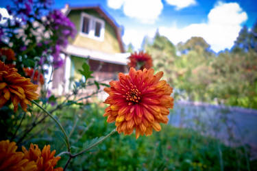 Фотограф Вениамин Чукалов