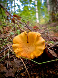 Фотограф Вениамин Чукалов