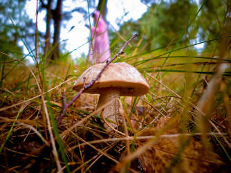 Фотограф Вениамин Чукалов