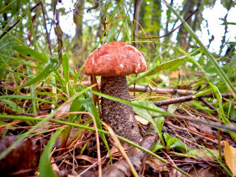 Фотограф Вениамин Чукалов