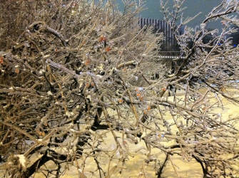 Фотограф Вениамин Чукалов