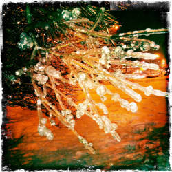 Фотограф Вениамин Чукалов