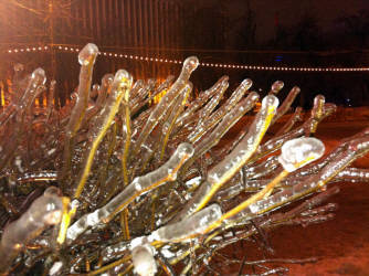 Фотограф Вениамин Чукалов