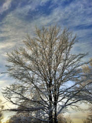 Фотограф Вениамин Чукалов
