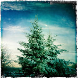 Фотограф Вениамин Чукалов