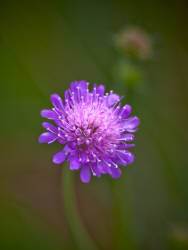 Фотограф Вениамин Чукалов