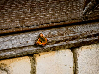 Фотограф Вениамин Чукалов