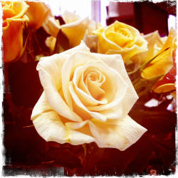 Фотограф Вениамин Чукалов