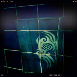 Фотограф Вениамин Чукалов