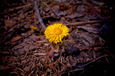 Фотограф Вениамин Чукалов