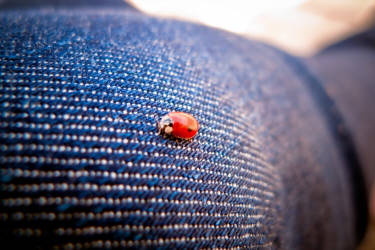 Фотограф Вениамин Чукалов