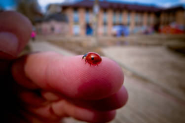 Фотограф Вениамин Чукалов