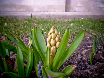 Фотограф Вениамин Чукалов