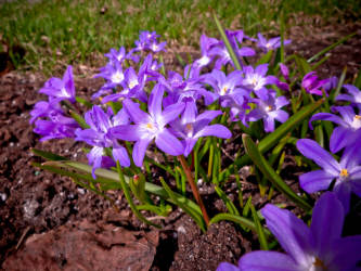 Фотограф Вениамин Чукалов