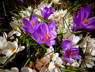 Фотограф Вениамин Чукалов