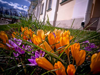 Фотограф Вениамин Чукалов