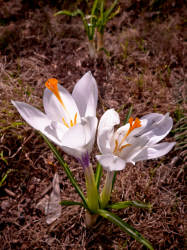 Фотограф Вениамин Чукалов