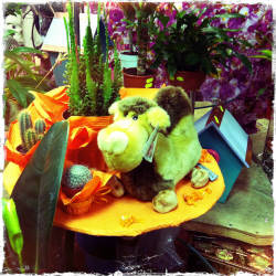 Фотограф Вениамин Чукалов