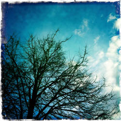 Фотограф Вениамин Чукалов