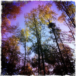 Фотограф Вениамин Чукалов