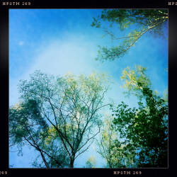 Фотограф Вениамин Чукалов