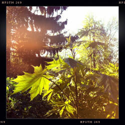 Фотограф Вениамин Чукалов