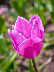 Фотограф Вениамин Чукалов