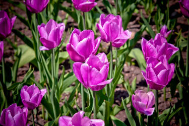 Фотограф Вениамин Чукалов