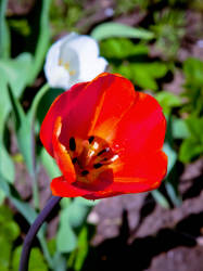 Фотограф Вениамин Чукалов