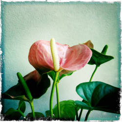 Фотограф Вениамин Чукалов