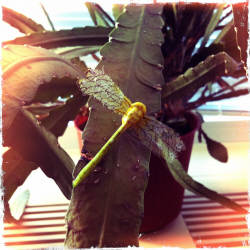 Фотограф Вениамин Чукалов