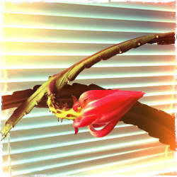 Фотограф Вениамин Чукалов